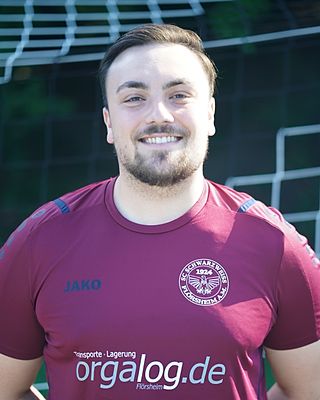 Dario Massimo Schmidt