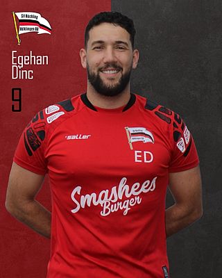 Egehan Dinc