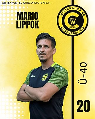 Mario Lippok