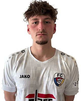 Hannes Reisinger