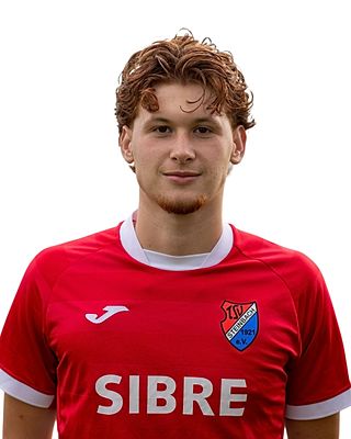 Fabio Zabel