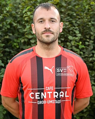 José Alexandre Mendes Silva