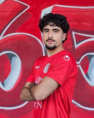 Arda Dolu