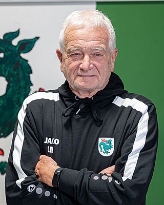 Ludwig Molle