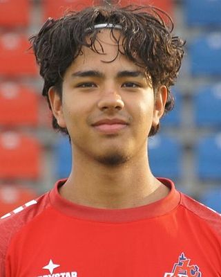 Daniel Fernando da Costa