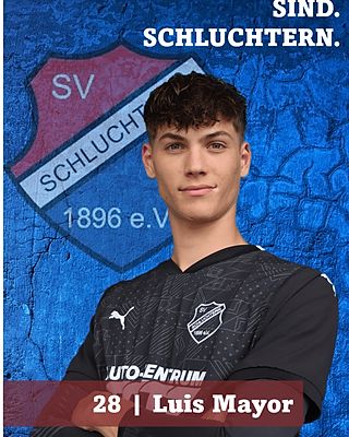 Luis Mayor Fernandez