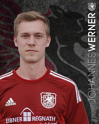 Johannes Werner
