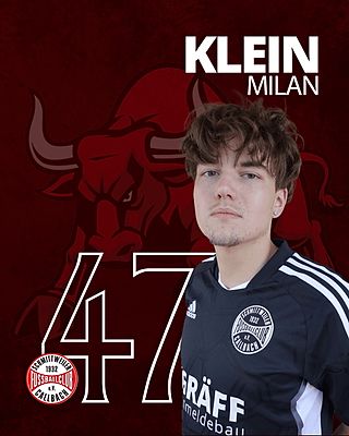 Milan-Marek Klein