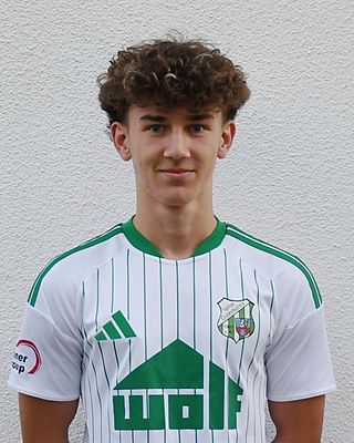 Dominik Helmbrecht