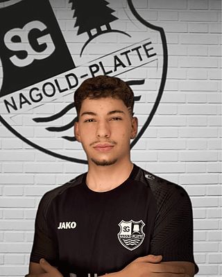Alessandro Guarnieri