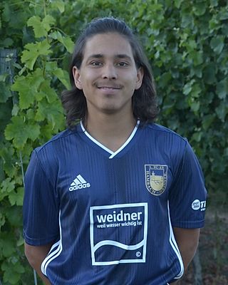 Nikolaus Artur Eladio Gutting