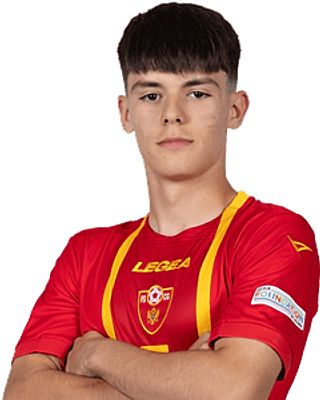 Nemanja Kljajević
