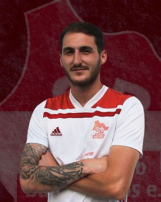 Nicolae Georgian Serbanescu