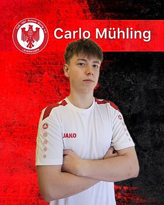 Carlo Mühling