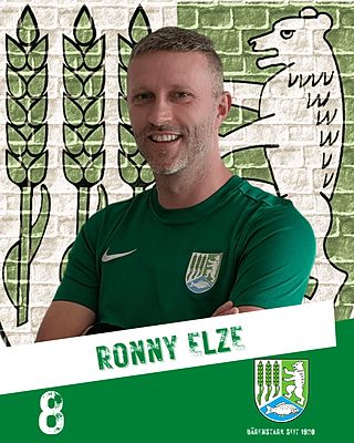 Ronny Elze