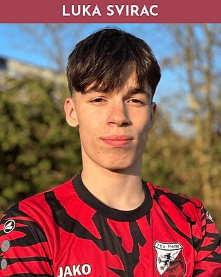 Luka Svirac