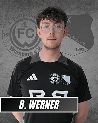 Bastian Werner