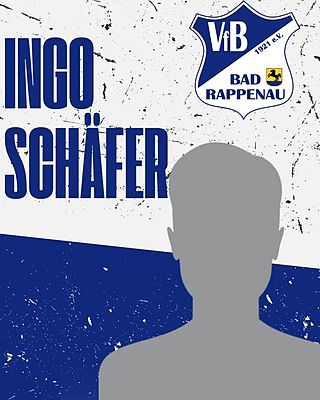 Ingo Schäfer