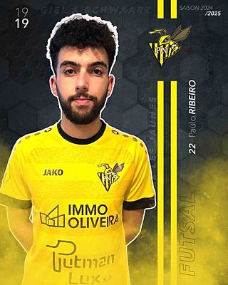 Paulo Sergio Tavares Ribeiro