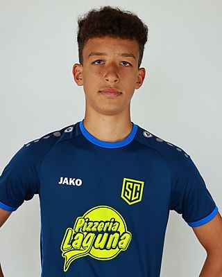 Len Gabriel Seefeld