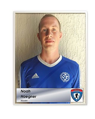 Noah Hoegner