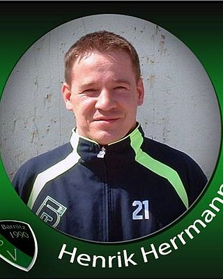 Henrik Herrmann