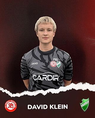David Klein