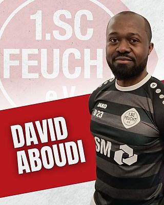 David Aboudi