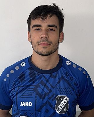 Eldin Sehovic