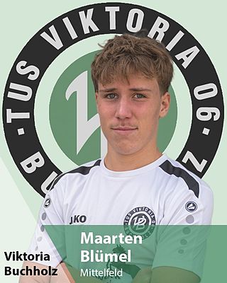 Maarten Blümel