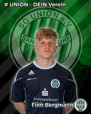Finn Bergmann