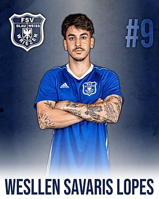 Wesllen Savaris Lopes