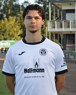 Radu Nicolae Prepelita