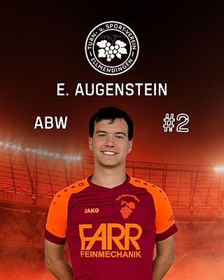 Eric Leon Augenstein