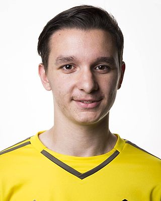 Dominik Hermann
