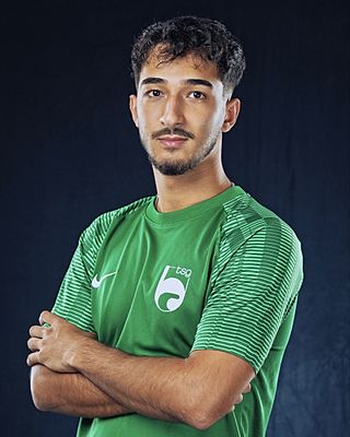 Ali Reza Schaydaie