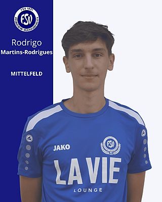 Rodrigo Martins Rodrigues