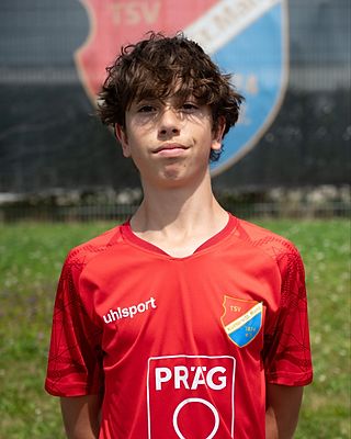 Lino Spiranec