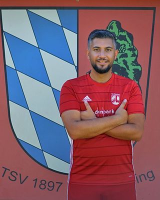 Mesut Süzen