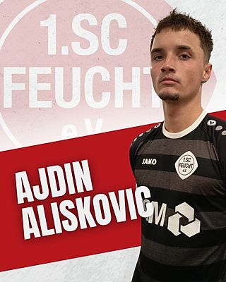 Ajdin Aliskovic