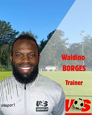Waldino Borges Tavares