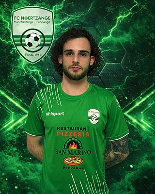 Tiago Alves de Sousa