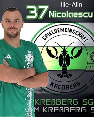 Ilie-Alin Nicolaesco