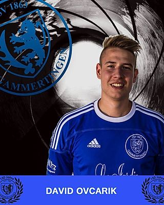 David Ovcarik