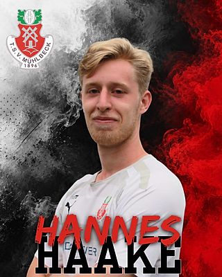 Hannes Haake