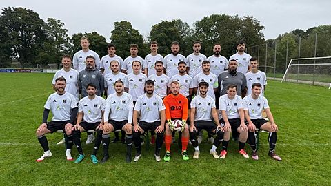 Mannschaftsfoto: Herren - 2. Mannschaft - FV Ingersheim - Saison 25/26