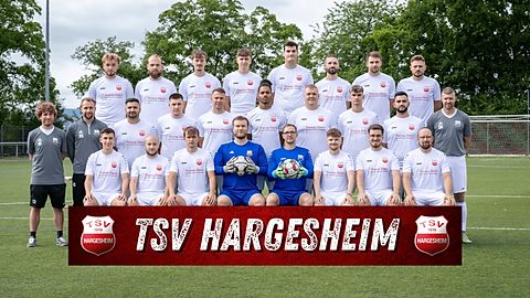 Mannschaftsfoto: Herren - 2. Mannschaft - TSV Hargesheim - Saison 25/26
