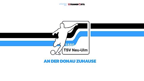 Mannschaftsfoto: A-Jugend (U19) - TSV Neu-Ulm - Saison 25/26