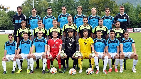 Die erste Mannschaft des VfL Pfullingen in der Landesliga-Saison 2014/2015.
