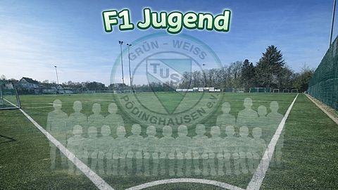 Mannschaftsfoto: F-Jugend (U9) - TuS Grün-Weiß Pödinghausen - Saison 25/26